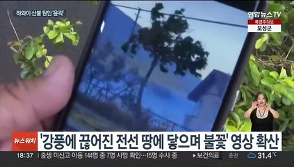 하와이 산불 사망자 106명으로…끊어진 전력선이 불씨된 듯