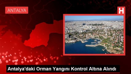 Şanlıurfa'da Komşu Aileler Arasında Sopalı Kavga: 2'si Kadın 6 Kişi Yaralandı