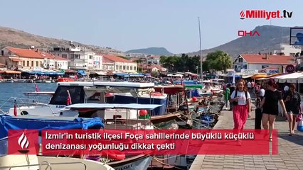Koyu mavi renkli ve uzun kuyruklu! Denize girmek isteyenler şoke oldu