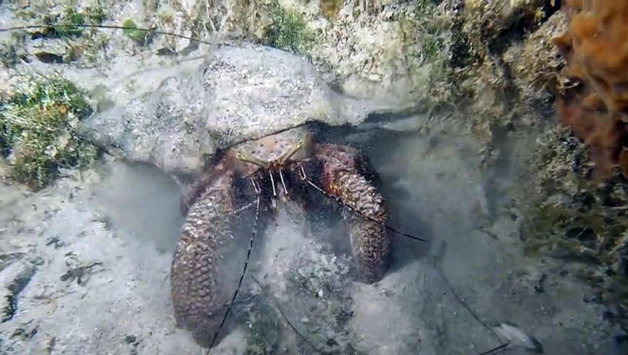Underwater Excavation