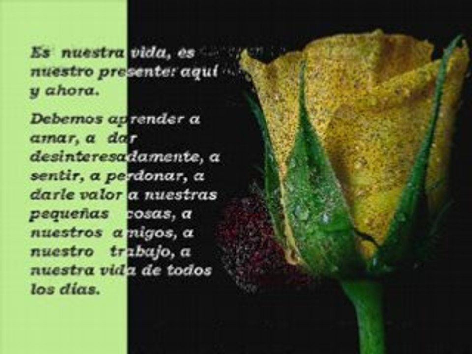 Bienvenida Primavera