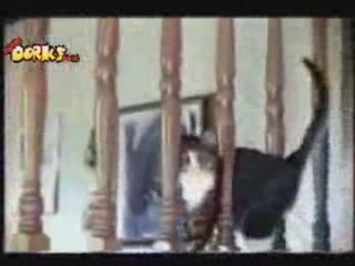 Destiny's Child VS Daft Punk - One More Bills (Mash Up)