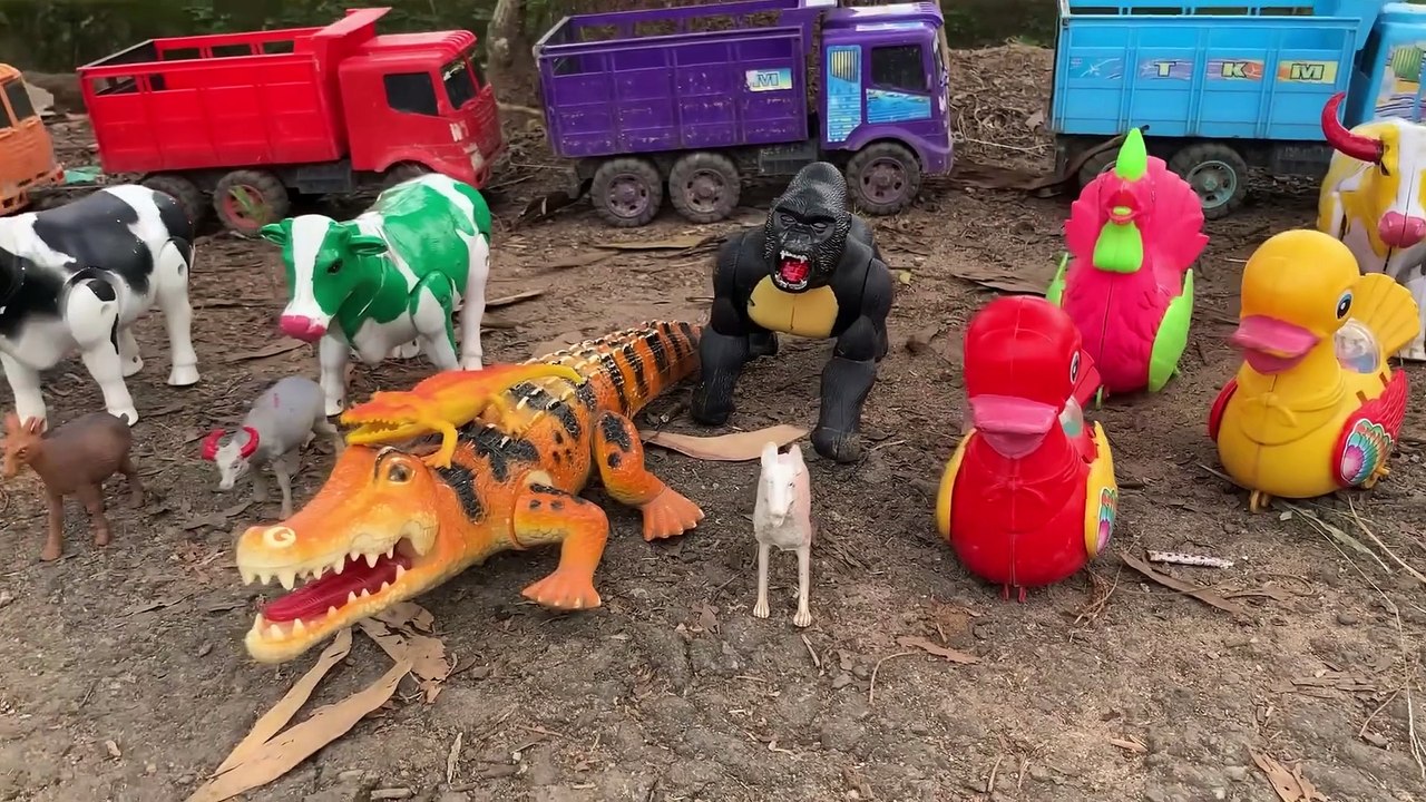 Truck oleng angkut sapi warna warni,gajah,bebek,kelinci,ayam,kambing,buaya,@mainankenzie-yt9yr