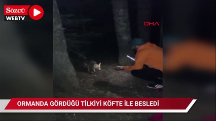 Ormanda gördüğü tilkiyi köfte ile besledi