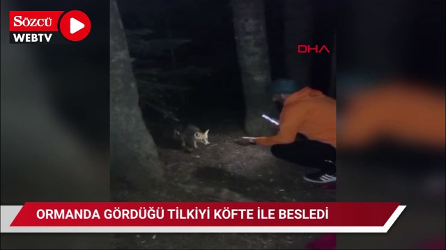 Ormanda gördüğü tilkiyi köfte ile besledi