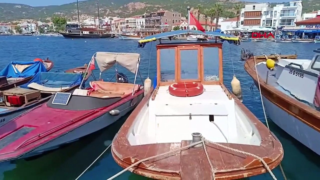 Densité de méduses sur les plages de Foça