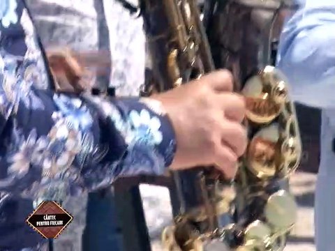 Elena Platica - Colaj hore (Cantec pentru fiecare - Antena 1 Constanta - 13.08.2016)