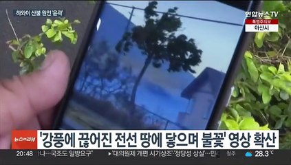 하와이 산불 사망자 106명으로…끊어진 전력선이 불씨된 듯