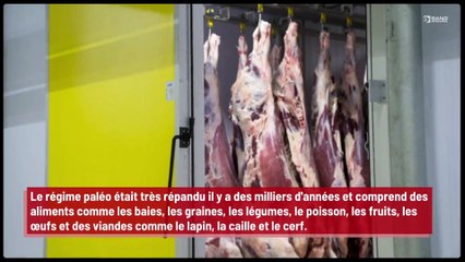 Les hommes des cavernes avaient de meilleures relations sexuelles que les humains modernes !