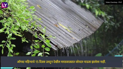 Jayakwadi Water Storage Issue: मराठवाड्यात पाणीसंकट, जायकवाडी धरणात केवळ 34 टक्के पाणीसाठा