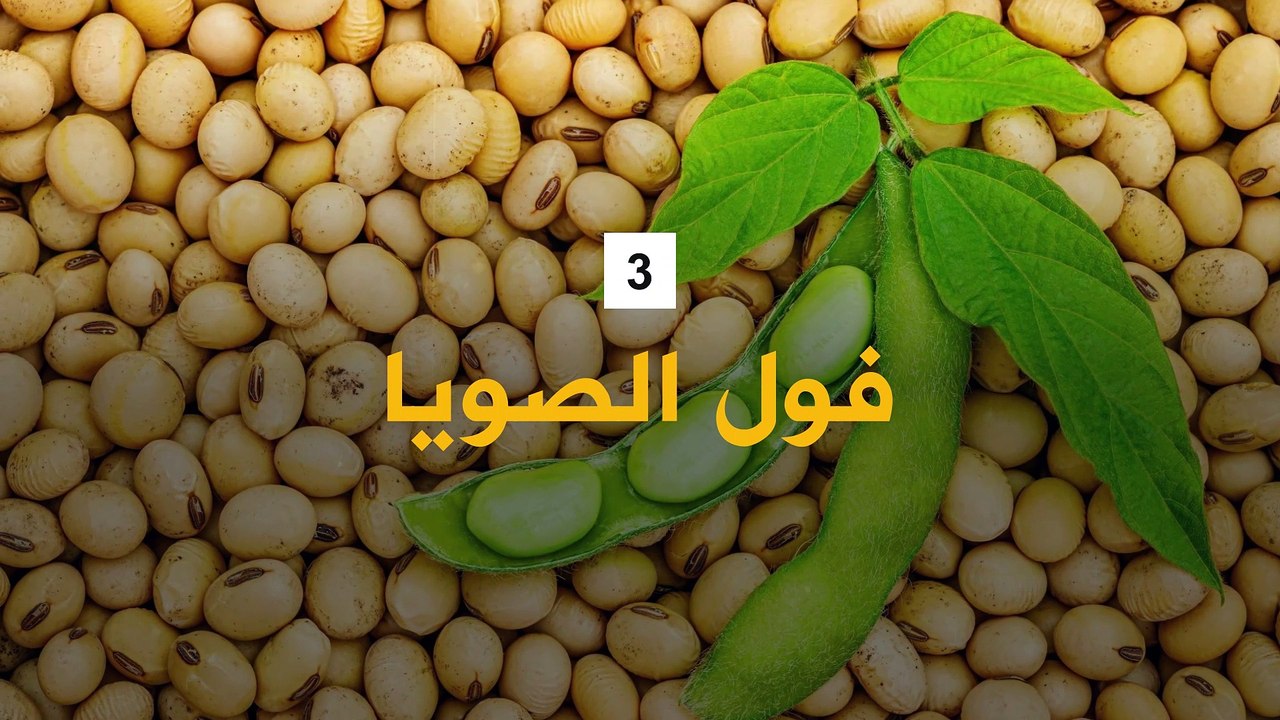 محاصيل تأثرت بأزمة المناخ.. ومن بينها زيت الزيتون!