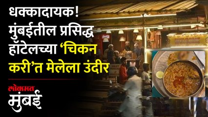 चिकन करी मागवली अन् आत होता मेलेला उंदीर; सुप्रसिद्ध हॉटेलमधील प्रकार