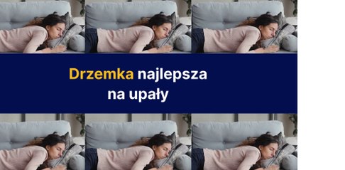 Drzemka najlepsza na upały