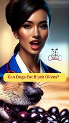 Can Dogs Eat Black Olives | Dog Food Review | Zudaan