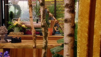 Rote Rosen Folge 936 - Neue Entwicklungen