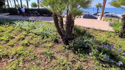 Rinasce villa Jolanda a Mazara del Vallo