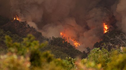 Evacuan a 3.000 personas por voraz incendio en Tenerife, España