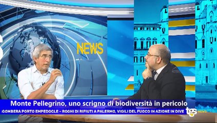 Il notiziario di Tgs edizione del 16 agosto - ore 13.50