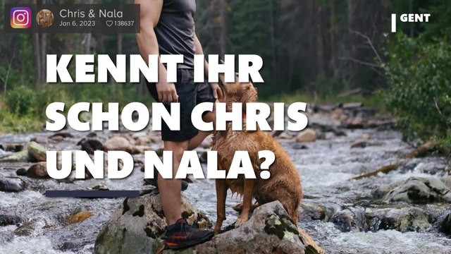 Adventuring with Nala: Dieser Golden Retriever hat ein besonders witziges Talent (Video)