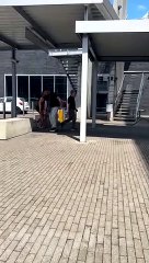 Gravity is a Fickle Thing