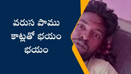 ఎన్టీఆర్ జిల్లా: వరుస పాముకాట్లతో భయం భయం