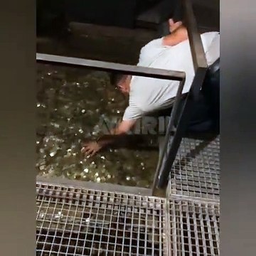 Yerebatan Sarnıcı'nda dilek paralarını topladı, Ben yolumu buldum dedi