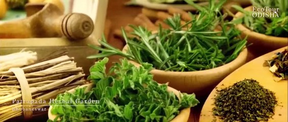 Eco Tourism in Odisha