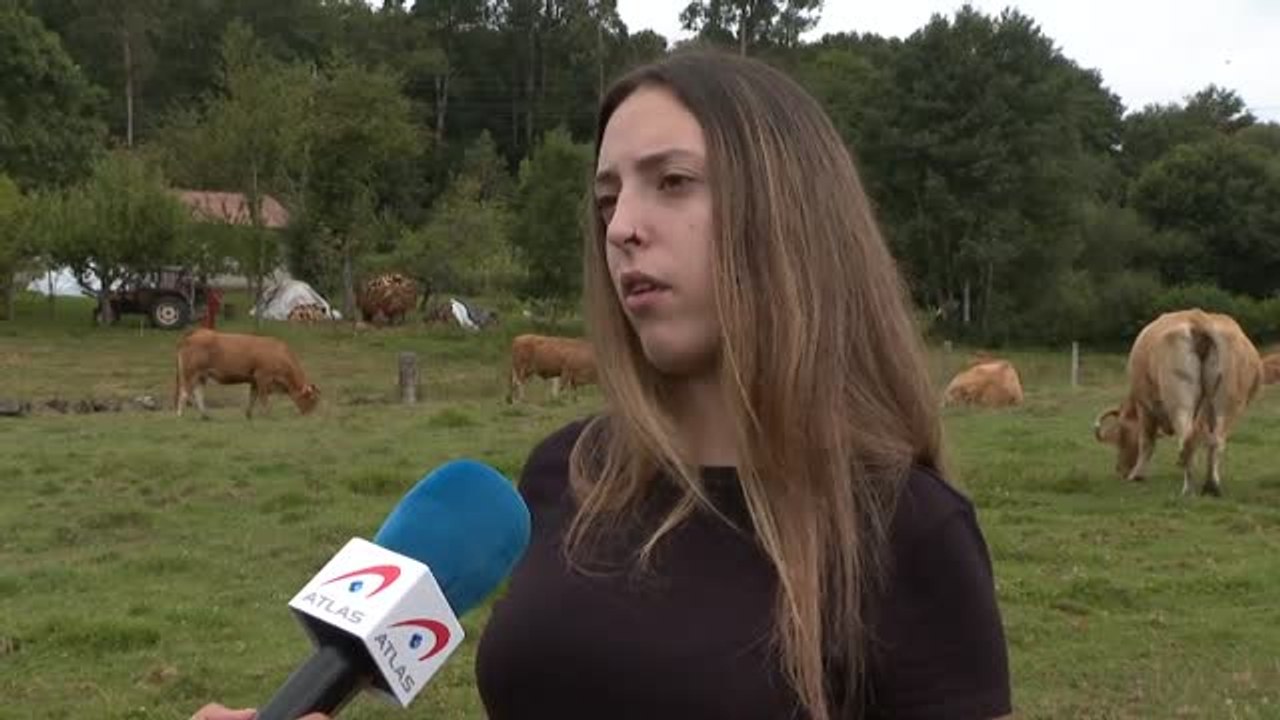 Solo el 3% de los dueños de las explotaciones agrícolas y ganaderas tiene menos de 35 años