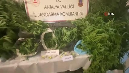 Jandarmadan uyuşturucu tacirlerine geçit yok