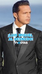 Luis Miguel regresa a los escenarios