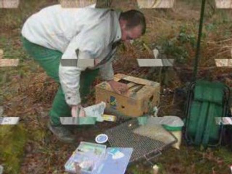 Peche de la Carpe :Session eau d'heure mars 2008