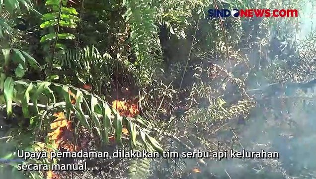Karhutla Makin Marak di Palangka Raya, Minimnya Sumber Air Sulitkan Pemadaman