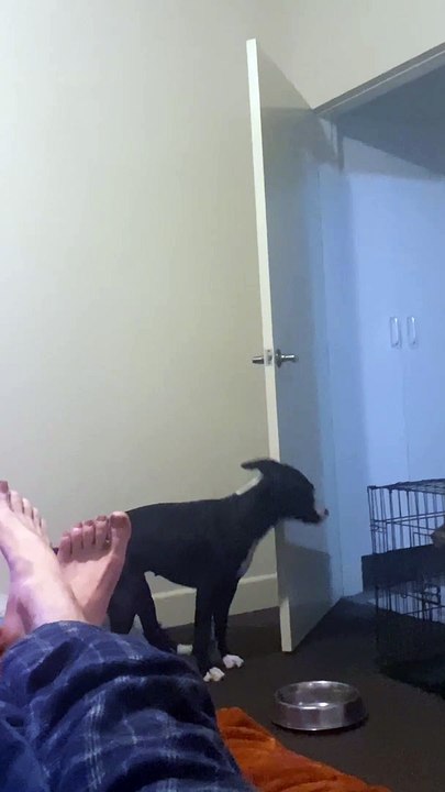 Luna Lets Herself Out