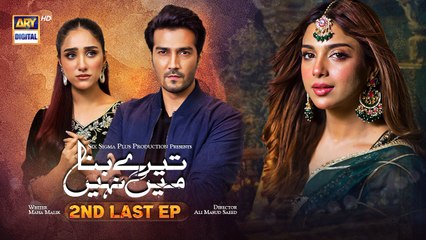 Tere Bina Mein Nahi Love | 2nd Last Episode
