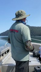 Orca s'approche du bateau de pêche