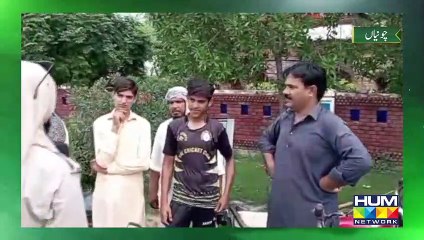 Shining a Light on Unsung Heroes Celebrating the Unseen Dedication and Remarkable Contributions.