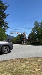 Celebrity Trains, They're Just Like Us