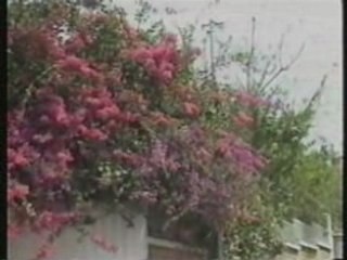 Atsan'i finoana ilay teny tonga nofo