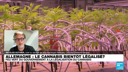 Allemagne : vers la légalisation du cannabis à des fins récréatives