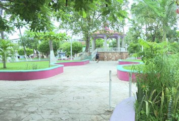 Buscarán atraer turistas al foco tonal de Jarretaderas