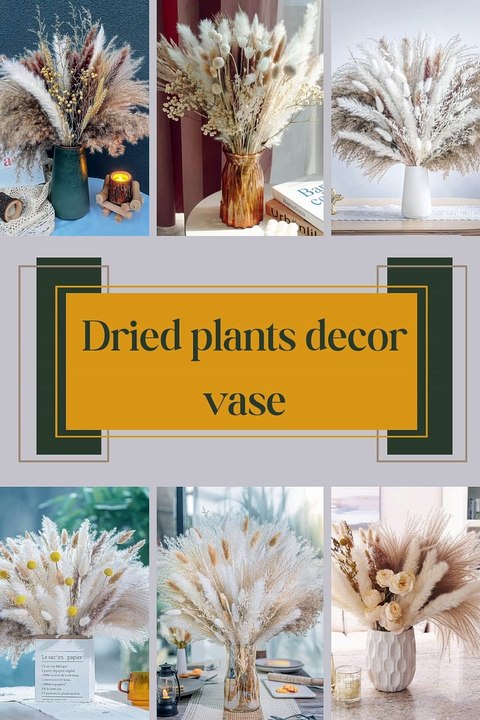 Dried plants decor vases