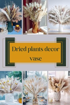 Dried plants decor vases