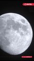 Se acerca la Luna azul de agosto: ¿Cuándo se verá en Bolivia?
