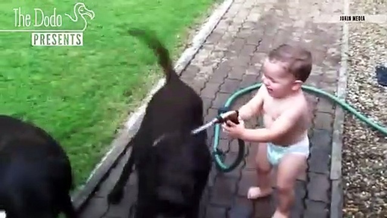 Babies_entertainment video funny video