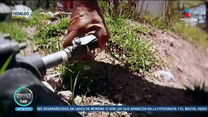 Presa Jaramillo, en Hidalgo, se ha secado casi por completo