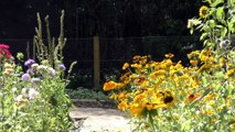 Canterbury community garden patch boosting wellbeing