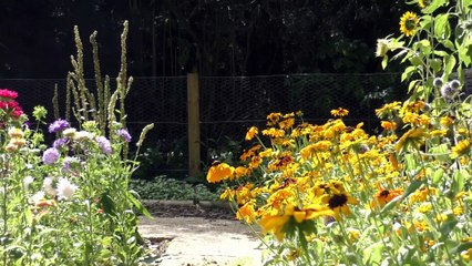 Canterbury community garden patch boosting wellbeing