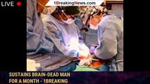 Another step toward using animal organs: Pig kidney sustains brain-dead man