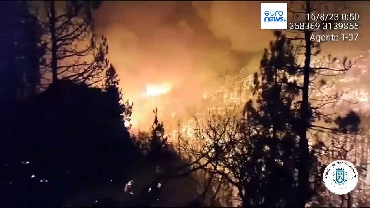 Schon 800 Hektar verbrannt: Flammeninferno wütet im Nordosten von Teneriffa