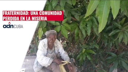 Fraternidad: una comunidad perdida en la miseria